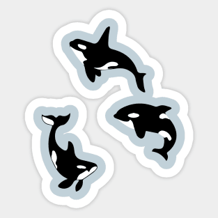 Three Orca Killer Whales Funny Sticker